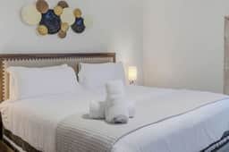 Furnished South Tampa Apartment King Bed Pool - Image 4